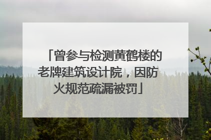 曾参与检测黄鹤楼的老牌建筑设计院，因防火规范疏漏被罚