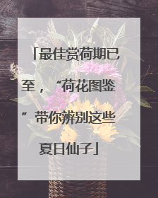 最佳赏荷期已至，“荷花图鉴”带你辨别这些夏日仙子