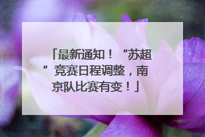 最新通知！“苏超”竞赛日程调整，南京队比赛有变！