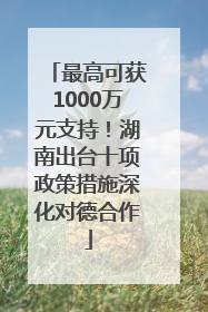 最高可获1000万元支持！湖南出台十项政策措施深化对德合作