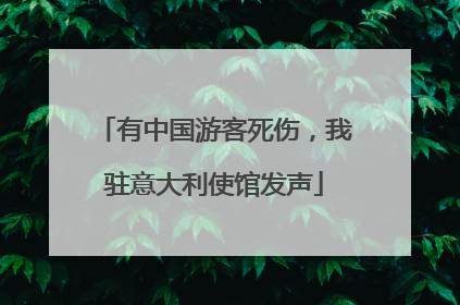 有中国游客死伤，我驻意大利使馆发声