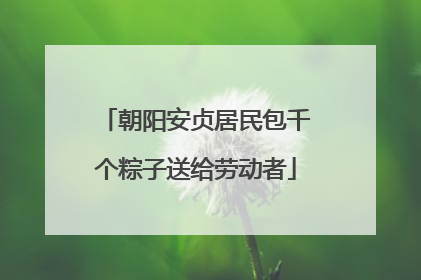 朝阳安贞居民包千个粽子送给劳动者