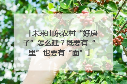 未来山东农村“好房子”怎么建？既要有“里”也要有“面”
