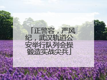 正警容，严风纪，武汉轨道公安举行队列会操锻造实战尖兵