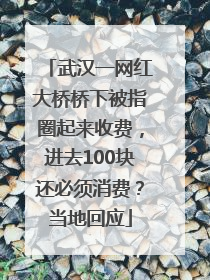 武汉一网红大桥桥下被指圈起来收费，进去100块还必须消费？当地回应