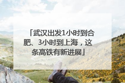 武汉出发1小时到合肥、3小时到上海，这条高铁有新进展
