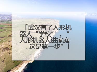 武汉有了人形机器人“学校”，“人形机器人进家庭，这是第一步”
