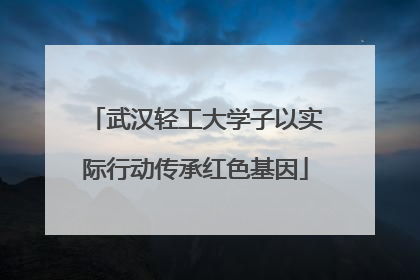 武汉轻工大学子以实际行动传承红色基因