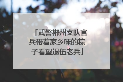 武警郴州支队官兵带着家乡味的粽子看望退伍老兵