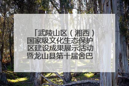 武陵山区（湘西）国家级文化生态保护区建设成果展示活动暨龙山县第十届舍巴日即将启幕