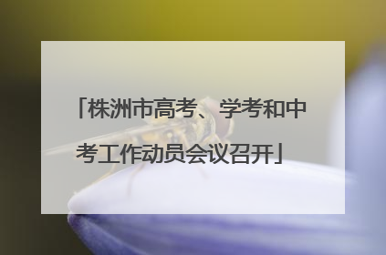 株洲市高考、学考和中考工作动员会议召开
