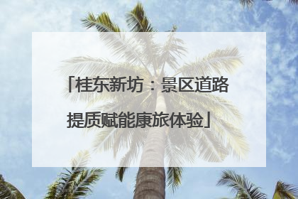桂东新坊：景区道路提质赋能康旅体验