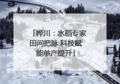 桦川：水稻专家田间把脉 科技赋能单产提升