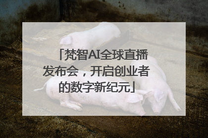 梵智AI全球直播发布会，开启创业者的数字新纪元