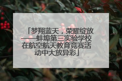 梦翔蓝天，荣耀绽放——蚌埠第三实验学校在航空航天教育竞赛活动中大放异彩
