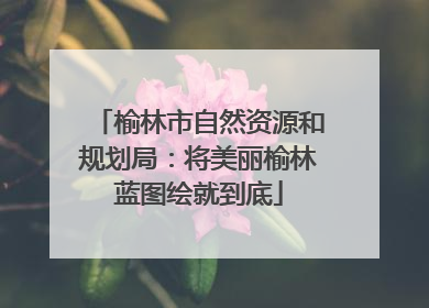 榆林市自然资源和规划局：将美丽榆林蓝图绘就到底