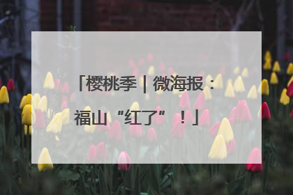 樱桃季｜微海报：福山“红了”！