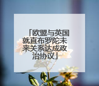 欧盟与英国就直布罗陀未来关系达成政治协议