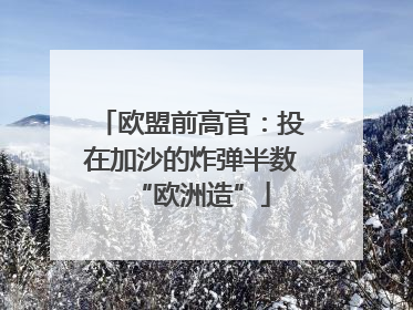 欧盟前高官：投在加沙的炸弹半数“欧洲造”