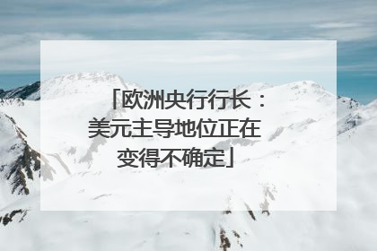 欧洲央行行长：美元主导地位正在变得不确定