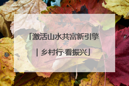 激活山水共富新引擎｜乡村行·看振兴
