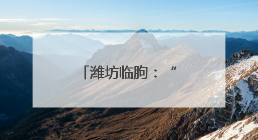 潍坊临朐：“三色沃土”绘彩铺展振兴画卷