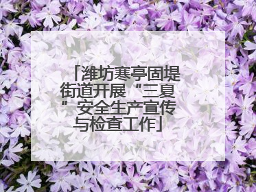 潍坊寒亭固堤街道开展“三夏”安全生产宣传与检查工作