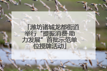 潍坊诸城龙都街道举行“提振消费·助力发展”首批示范单位授牌活动