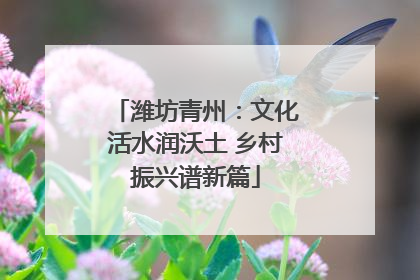 潍坊青州：文化活水润沃土 乡村振兴谱新篇