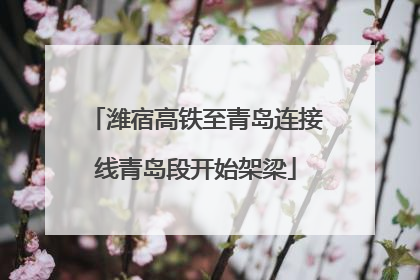 潍宿高铁至青岛连接线青岛段开始架梁