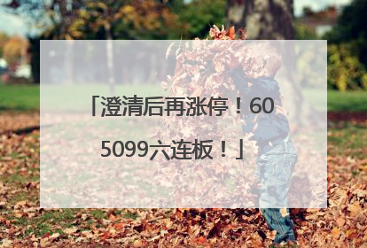 澄清后再涨停！605099六连板！