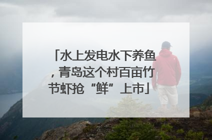 水上发电水下养鱼，青岛这个村百亩竹节虾抢“鲜”上市