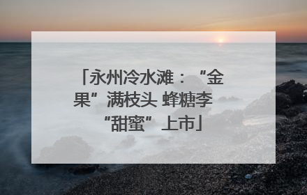 永州冷水滩：“金果”满枝头 蜂糖李“甜蜜”上市