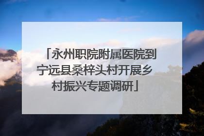 永州职院附属医院到宁远县桑梓头村开展乡村振兴专题调研