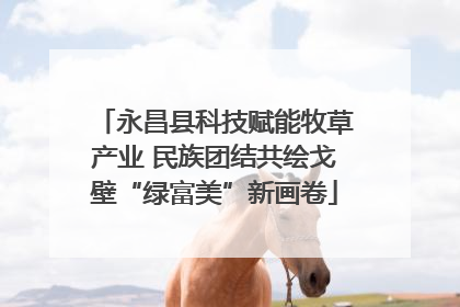 永昌县科技赋能牧草产业 民族团结共绘戈壁“绿富美”新画卷
