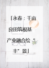 永春：千亩良田筑根基 产业融合绘“丰”景