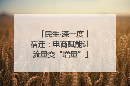 民生·深一度丨宿迁：电商赋能让流量变“增量”