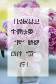 民权县卫生健康委：“医”路健康伴“童”行