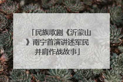 民族歌剧《沂蒙山》南宁首演讲述军民并肩作战故事
