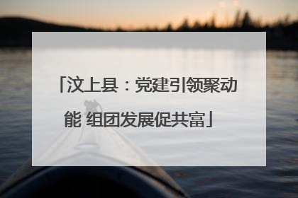 汶上县：党建引领聚动能 组团发展促共富