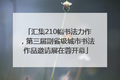 汇集210幅书法力作，第三届副省级城市书法作品邀请展在蓉开幕