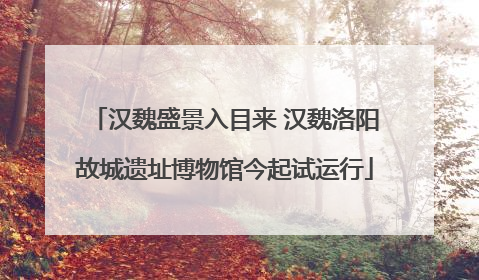 汉魏盛景入目来 汉魏洛阳故城遗址博物馆今起试运行