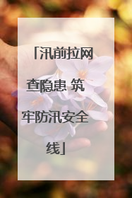 汛前拉网查隐患 筑牢防汛安全线