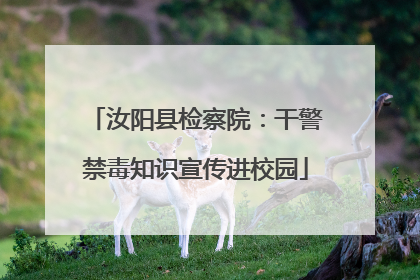 汝阳县检察院：干警禁毒知识宣传进校园