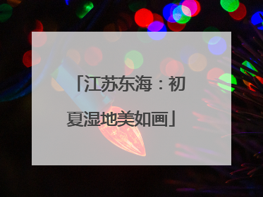 江苏东海：初夏湿地美如画