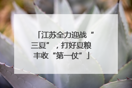 江苏全力迎战“三夏”，打好夏粮丰收“第一仗”