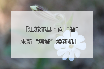 江苏沛县：向“智”求新“煤城”焕新机
