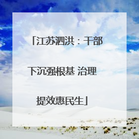 江苏泗洪：干部下沉强根基 治理提效惠民生