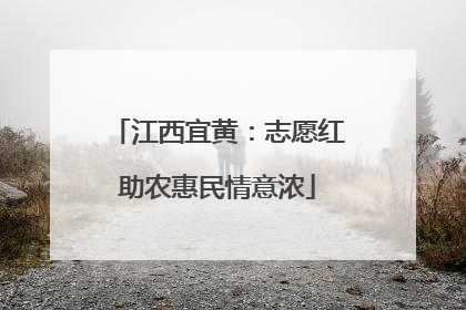 江西宜黄：志愿红助农惠民情意浓