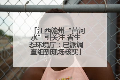 江西赣州“黄河水”引关注 省生态环境厅：已派调查组到现场核实